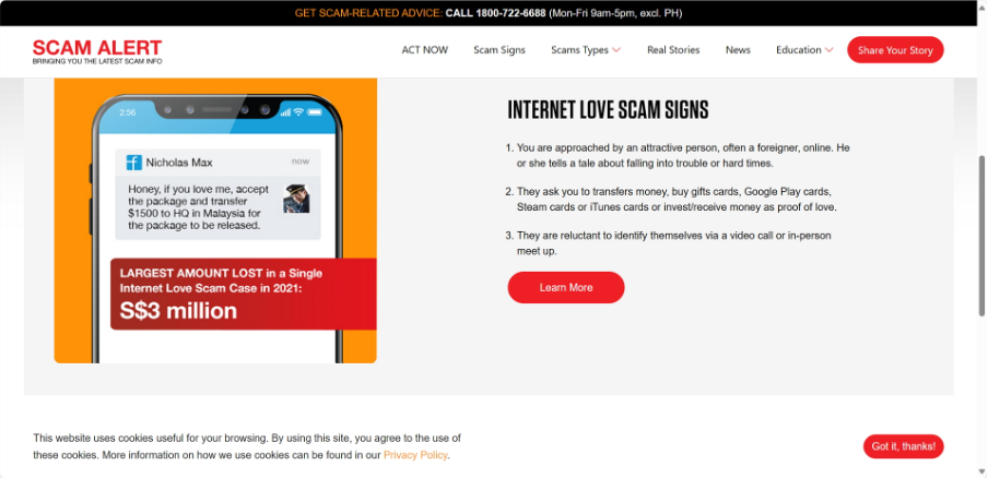 Example of online scam websites