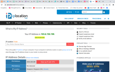 How to Conceal Your IP Address for Security