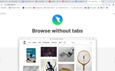 User-Friendly Browsers