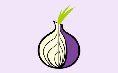 Onion Routing: How It Shields Your Identity Online