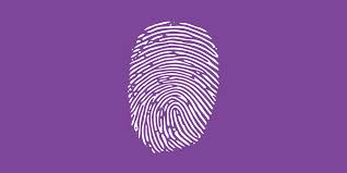 Top Browser Fingerprinting Techniques