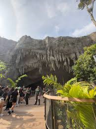 Cavern Restaurant at Rainforest Wild ASIA