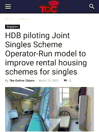 Singapore Singles Housing: Comprehensive Case Study and Analysis