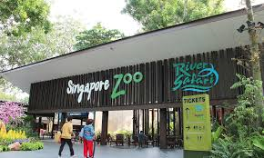 Year-End Holiday Activities in Singapore