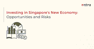 Emerging Markets Investment Case Study: Singapore’s Strategic Role in 2026