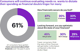 Analysis of Consumer Spending Strain in  Retail
