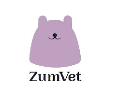 Zumvet Closure: A Case Study in Veterinary Telemedicine Failure
