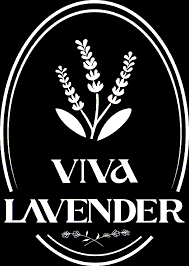 Viva Lavender