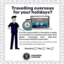 Singapore Customs Guide 2026: How to Avoid Trouble When Returning from Malaysia