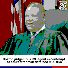 Analysis of the 2024 U.S. District Court Conflict Between Judge Reed O’Connor and ICE Director Tae J. Harrison