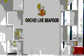 Orchid Live Seafood