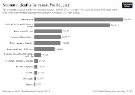 2026 Novokuznetsk Neonatal Deaths