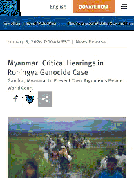 Analysis of the Rohingya Genocide Allegations