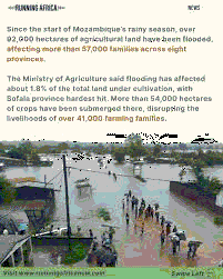 The 2026 Mozambique Floods