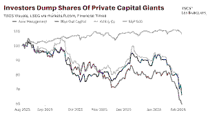 Private Credit Market Stress: Blue Owl Capital’s Gated BDC