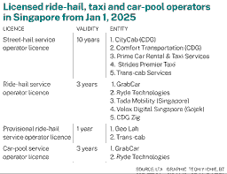 Market Analysis of The Straits Times’ 2025 Singapore Ride-Hailing Platform Comparison Study