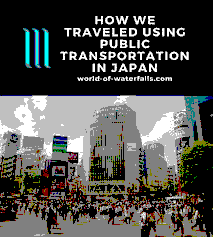The Transformation of Public Transportation for the Elderly in Japan