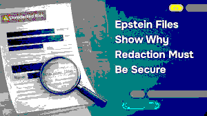 ‘The Epstein Affair’: Comparative Analysis of French and American Reactions