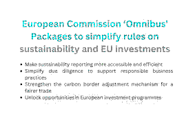 Simplifying Regulation to Enhance Competitiveness: A Necessity for the European Union