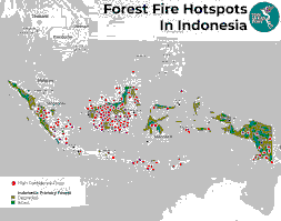Increasing Risk of Forest Fires in Riau Province, Indonesia